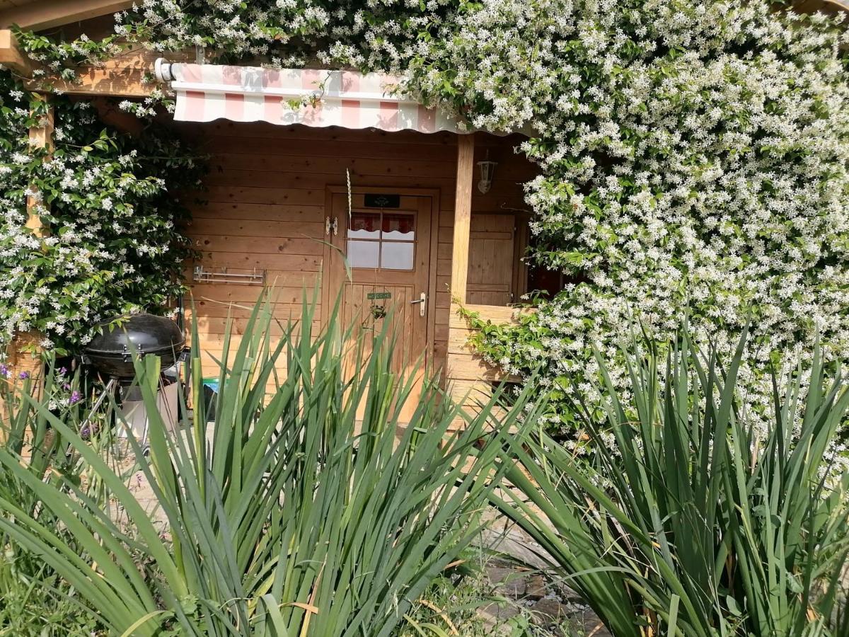 Apartma Suzy Pobegi 外观 照片